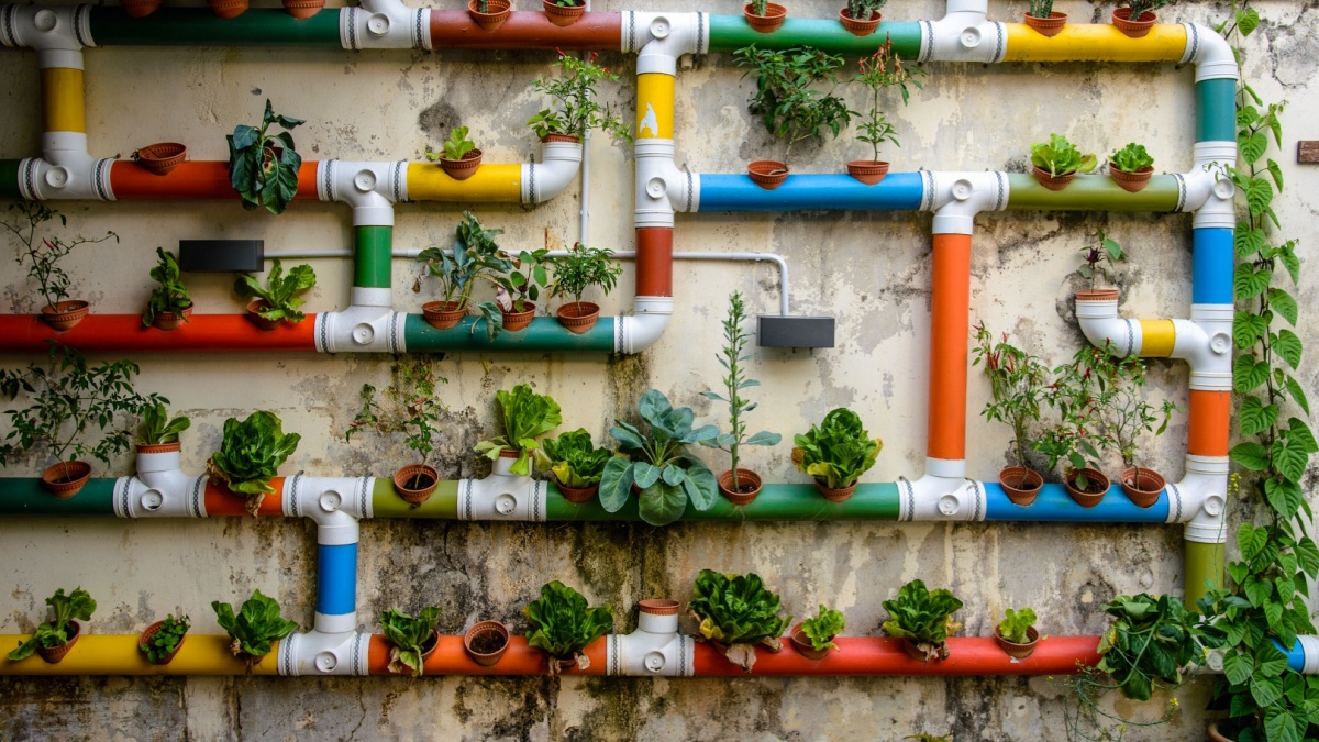 DYA50442 - URBAN AGRICULTURE