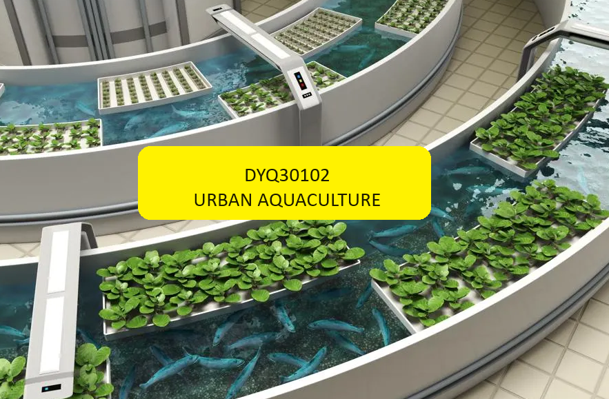 DYQ30102 - URBAN AQUACULTURE SESI II 2023/2024