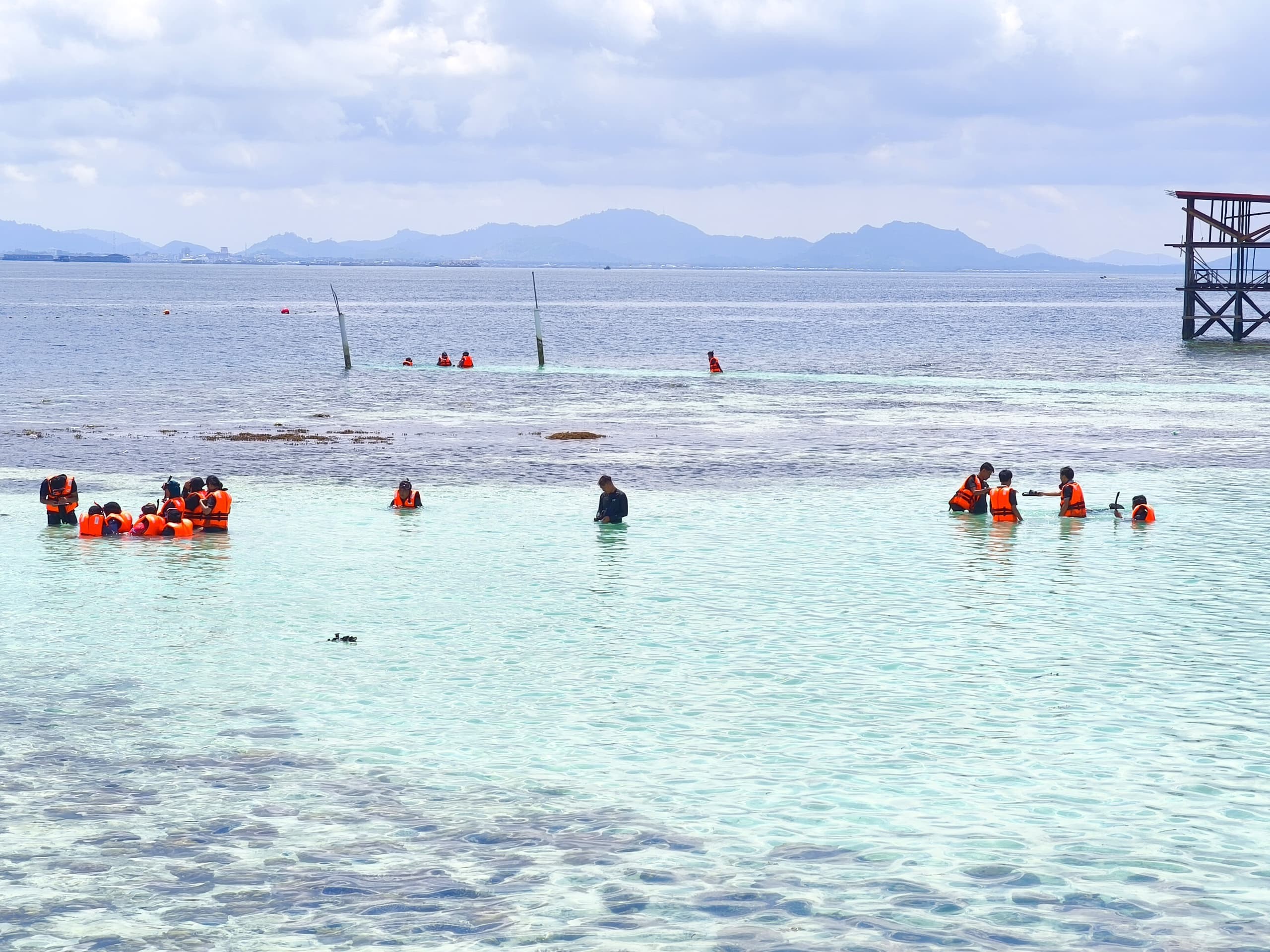 DYQ40352 - SEAWEED CULTURE