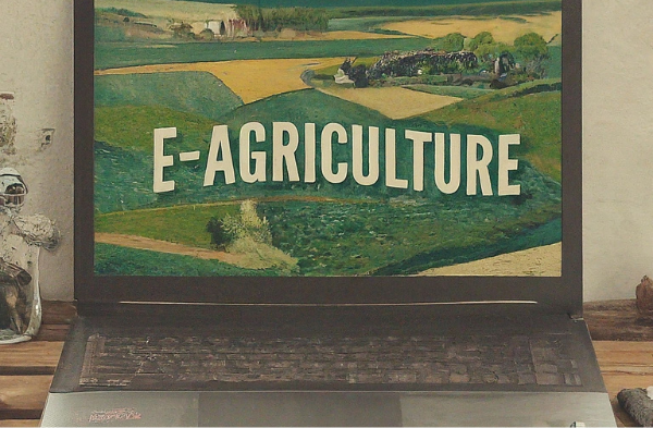 DYA20293: E-AGRICULTURE