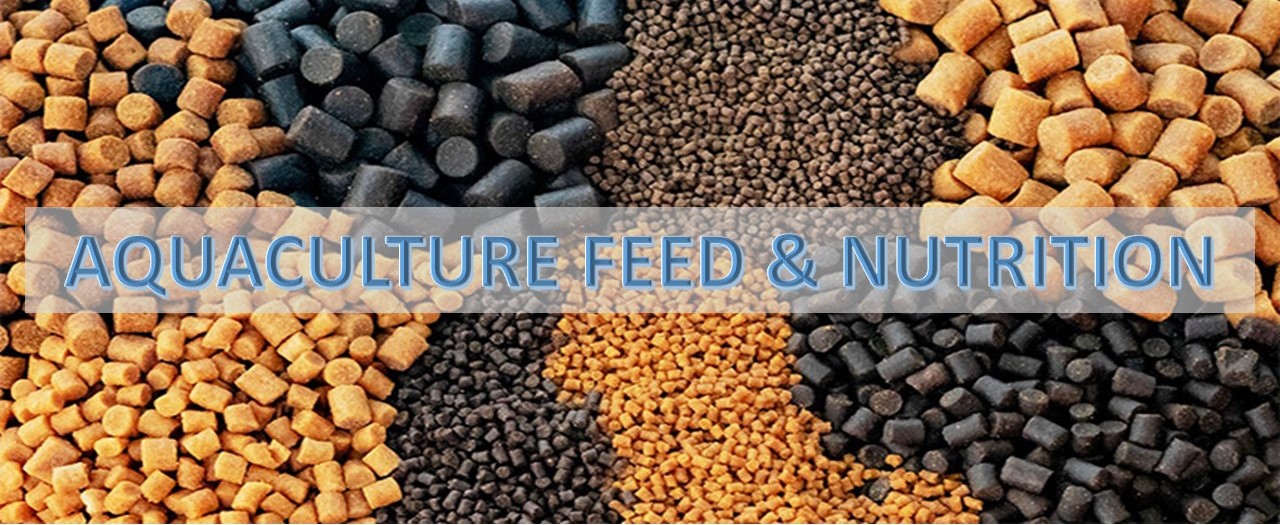 DYQ30273 - AQUACULTURE FEED NUTRITION